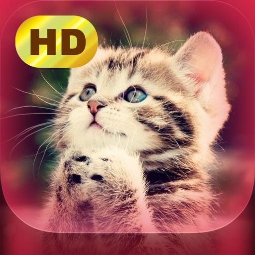 Cute Pics app reviews download