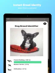 dogphoto - dog breed scanner ipad images 2