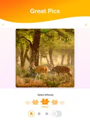 jigsaw puzzles now ipad images 2