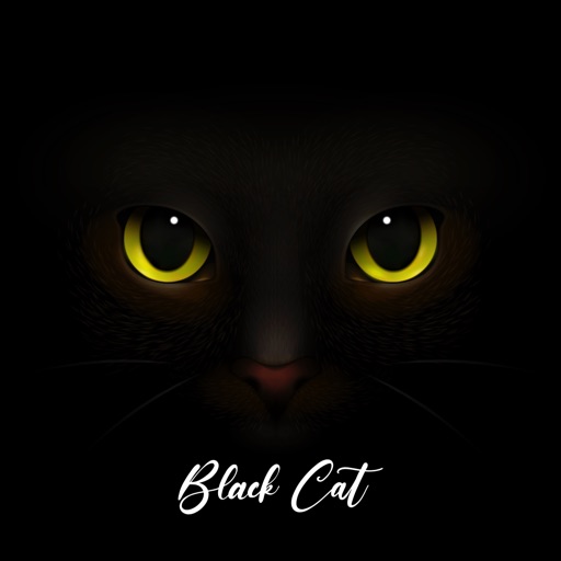 Cute Black Cat Stickers Pack app reviews download