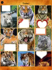 international tiger day frames айпад изображения 4
