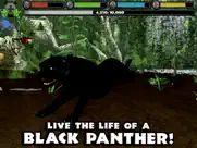 panther simulator ipad images 1