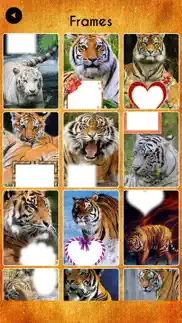 international tiger day frames айфон картинки 4
