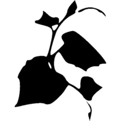 northwest vines logo, reviews