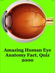 human eye anatomy fact,quiz 2k ipad images 1