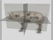 3d pig anatomy ipad bildschirmfoto 4