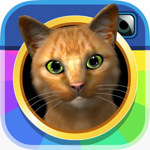 InstaKitty3D app reviews download
