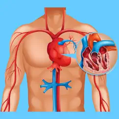 cardiovascular system quizzes logo, reviews