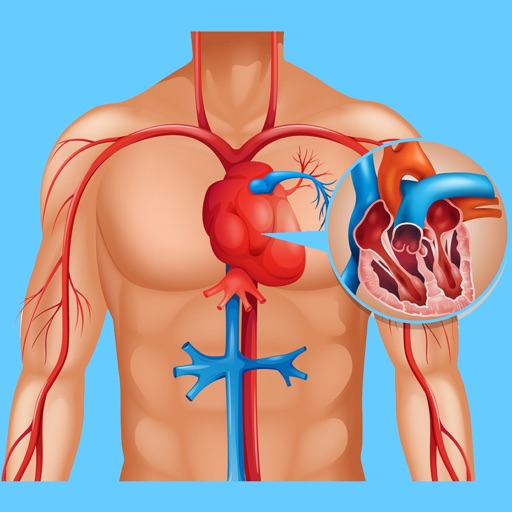 Cardiovascular System Quizzes app reviews download