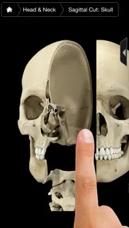 skeleton system pro iii-iphone iPhone Captures Décran 1