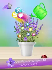 lucky lavender ipad images 2