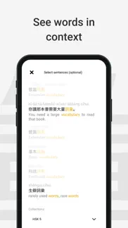 chinese dictionary by serica iphone bildschirmfoto 4