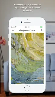 google arts & culture айфон картинки 1