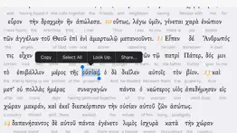 interlinear greek iphone images 4