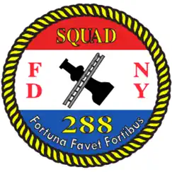 squad box - new york city logo, reviews
