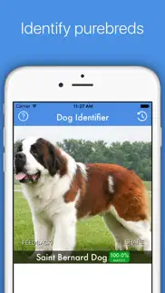 dog id - dog breed identifier iphone images 4