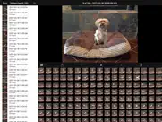 icam - webcam video streaming iPad Captures Décran 3