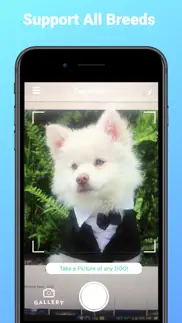 dogphoto - dog breed scanner iphone images 4