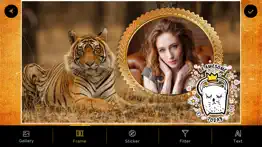 international tiger day frames айфон картинки 3