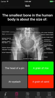 amazing human body facts, quiz iphone images 4