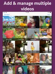 video to images extractor ipad images 2