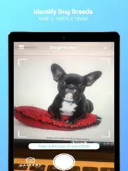 dogphoto - dog breed scanner ipad images 1