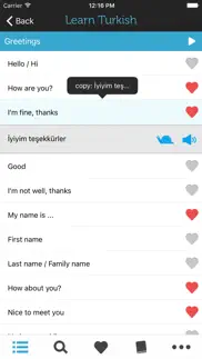 learn turkish - phrasebook iphone images 2