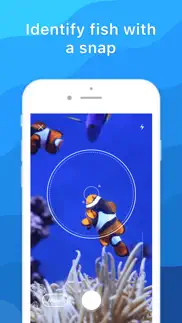 picture fish - reconocer peces iphone capturas de pantalla 1