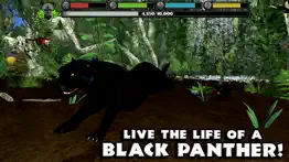 panther simulator iphone images 1