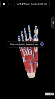 muscle system pro iii - iphone iphone capturas de pantalla 3