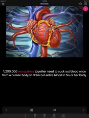 human anatomy blood facts 2000 ipad images 1