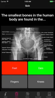 amazing human body facts, quiz iphone images 2