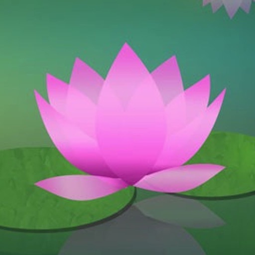 Meditation Without Borders app reviews download