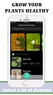 plants diseases identifier iphone images 3