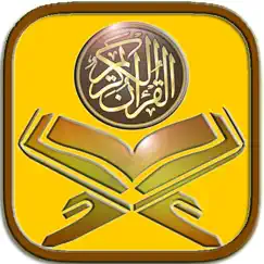 The Holy Quran and Means Pro uygulama incelemesi
