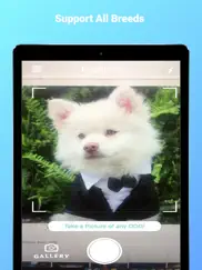 dogphoto - dog breed scanner ipad images 4