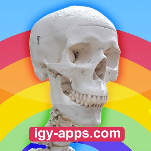 Anatomy AR 4D app reviews download