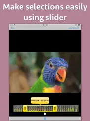 video looper pro ipad images 3