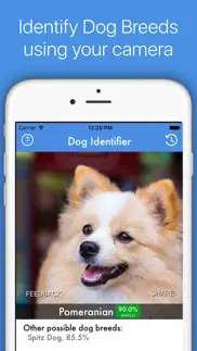 dog id - dog breed identifier iphone images 1