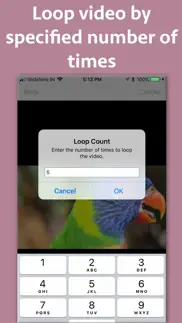 video looper pro iphone images 4