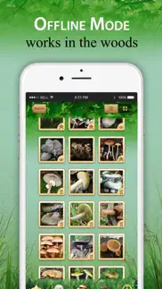 mushroom book & identification iphone images 4