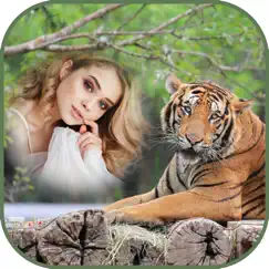 international tiger day frames обзор, обзоры