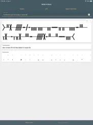 write in runic ipad images 3
