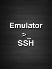 terminal pro - shell ,ssh ipad images 3