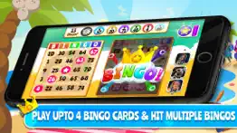 bingo dice - live classic game iphone images 1
