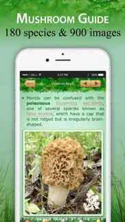 mushroom book & identification iphone images 2