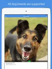 dog id - dog breed identifier ipad images 2