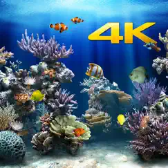 aquarium 4k commentaires & critiques