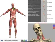 visual anatomy lite iPad Captures Décran 1