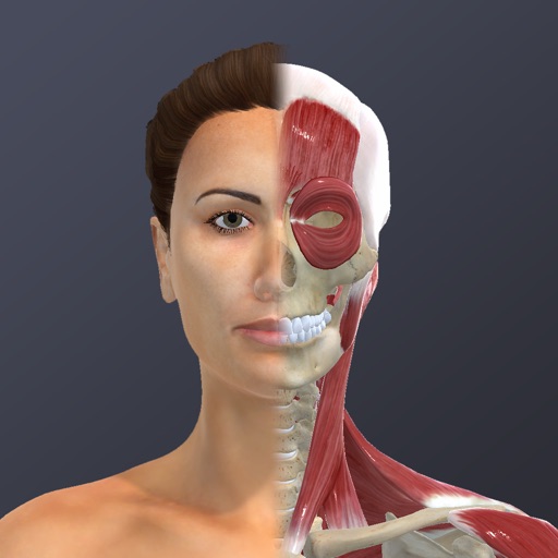 Chronic Migraine Anatomy app reviews download